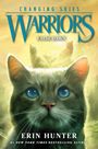 Text: "CHANGING SKIES WARRIORS FALSE DAWN ERIN HUNTER #1 NEW YORK TIMES BESTSELLING AUTHOR." Illustration mit Katze.