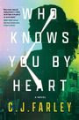 „WHO KNOWS YOU BY HEART“, C.J. FARLEY, „A NOVEL“. Silhouette einer Person vor städtischem Hintergrund.