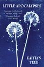 Kaitlyn Teer: Little Apocalypses, Buch