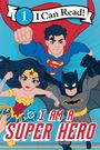 Warner Brothers: DC: I Am a Super Hero, Buch
