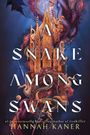 Hannah Kaner: The Snake Among Swans, Buch