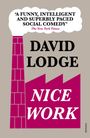 David Lodge: Nice Work, Buch