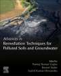 : Advances in Remediation Techniques for Polluted Soils and Groundwater, Buch