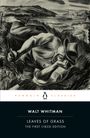 Walt Whitman: Leaves of Grass, Buch