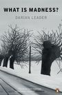 Darian Leader: What is Madness?, Buch