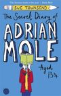Sue Townsend: The Secret Diary of Adrian Mole Aged 13 3/4, Buch