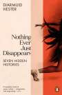 Diarmuid Hester: Nothing Ever Just Disappears, Buch