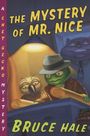 Bruce Hale: The Mystery of Mr. Nice, Buch