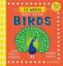 Tara Pegley-Stanger: 50 Words About Nature: Birds, Buch