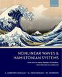 Dimitrios J. Frantzeskakis: Nonlinear Waves & Hamiltonian Systems, Buch