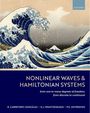 Ricardo Carretero-González: Nonlinear Waves & Hamiltonian Systems, Buch