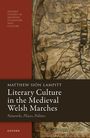 Matthew Siôn Lampitt: Literary Culture in the Medieval Welsh Marches, Buch