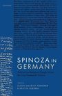 Jason Maurice Yonover: Spinoza in Germany, Buch