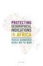Marius Schneider: Protecting Geographical Indications in Africa, Buch