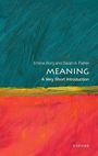 Emma Borg: Meaning: A Very Short Introduction, Buch