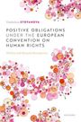 Vladislava Stoyanova: Positive Obligations Under the European Convention on Human Rights, Buch