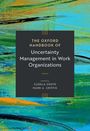 „The Oxford Handbook of Uncertainty Management in Work Organizations“, editiert von Gudela Grote, Mark A. Griffin. Abstrakte Malerei.