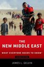 James L. Gelvin: The New Middle East, Buch