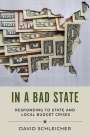 David Schleicher: In a Bad State, Buch