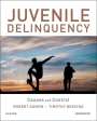 Robert Agnew: Juvenile Delinquency: Causes and Control, Buch