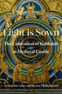 Avishai Bar-Asher: Light Is Sown, Buch