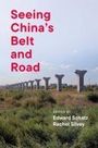 : Seeing China's Belt and Road, Buch