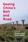 : Seeing China's Belt and Road, Buch