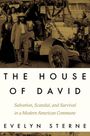 Evelyn Sterne: The House of David, Buch