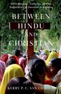 Kerry P C San Chirico: Between Hindu and Christian, Buch