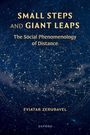 "SMALL STEPS AND GIANT LEAPS: The Social Phenomenology of Distance" von Eviatar Zerubavel; sternenbedeckter Nachthimmel im Hintergrund.