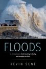 "FLOODS", darunter: "An Introduction to Understanding, Reducing, and Managing the Risks" von Kevin Sene. Große Wellen schlagen gegen eine Küste.