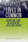 Menachem Klein: Lives in Common, Buch