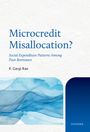 „Microcredit Misallocation? Social Expenditure Patterns Among Poor Borrowers“ von P. Gargi Rao. Aquarellmuster in Blau.