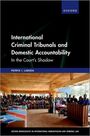 Patryk I Labuda: International Criminal Tribunals and Domestic Accountability, Buch