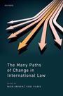 : The Many Paths of Change in International Law, Buch