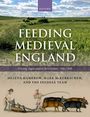 Helena Hamerow: Feeding Medieval England, Buch