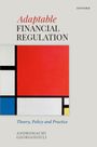 "Adaptable Financial Regulation: Theory, Policy and Practice" von Andromachi Georgosouli. Illustration mit roten und blauen Quadraten.