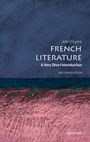 "John D Lyons, French Literature: A Very Short Introduction, Second Edition." Abstraktes Gemälde in Blau und Rosa.