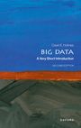 "Dawn E. Holmes, BIG DATA, A Very Short Introduction, Second Edition, Oxford". Abstrakte bunte Pinselstriche.