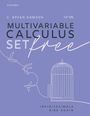 "Multivariable Calculus Set Free" in großer Schrift. Illustration: Vögel fliegen aus einem offenen Käfig auf lila Hintergrund.
