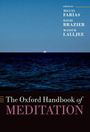 Miguel Farias: The Oxford Handbook of Meditation, Buch