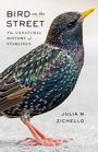 Julia Zichello: Bird on the Street, Buch