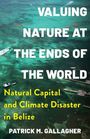 Patrick M. Gallagher: Valuing Nature at the Ends of the World, Buch
