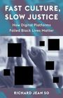 Richard Jean So: Fast Culture, Slow Justice, Buch