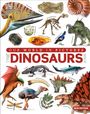 Dk: Our World in Pictures The Dinosaur Book, Buch