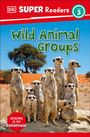 Dk: DK Super Readers Level 3 Wild Animal Groups, Buch