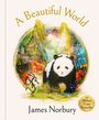 James Norbury: A Beautiful World, Buch