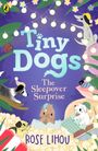Text: „Tiny Dogs: The Sleepover Surprise, Rose Lihou“. Illustration: Kleine Hunde mit Lichterketten und Blumen.