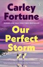 Carley Fortune: Our Perfect Storm, Buch
