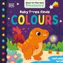 Dk: Baby T. Rex Finds Colours, Buch